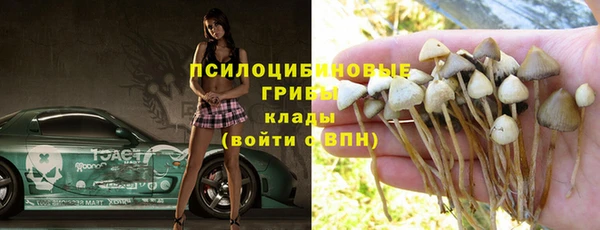 амф Зерноград