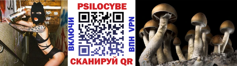 Псилоцибиновые грибы Psilocybe  Рыбное 